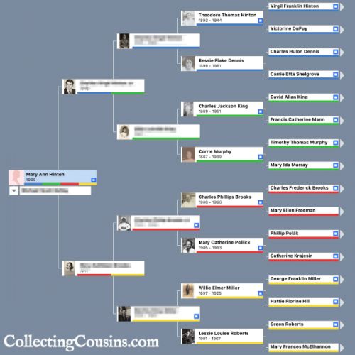 Family Tree Maker (FTM) Color Coding