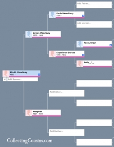 Example of color coding for an island group