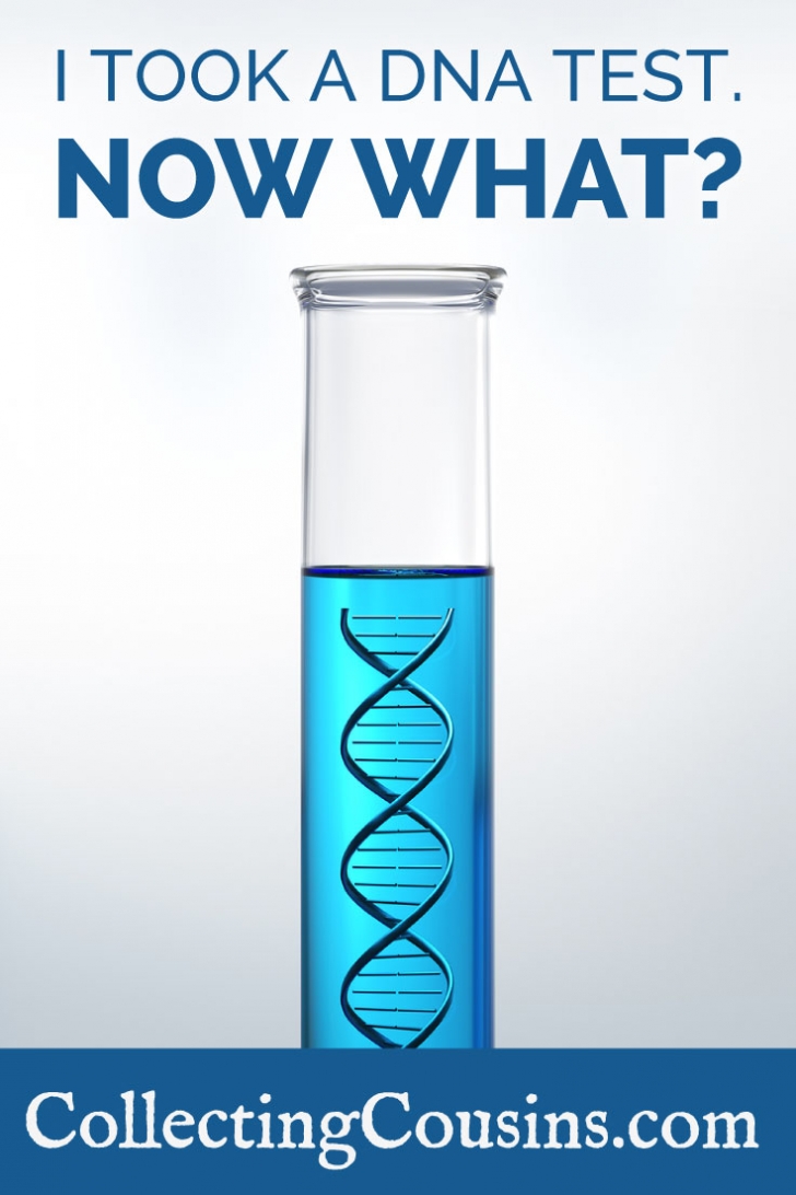 Different DNA Tests for Different Purposes: Which Do You Need? - The Genealogy Reporter