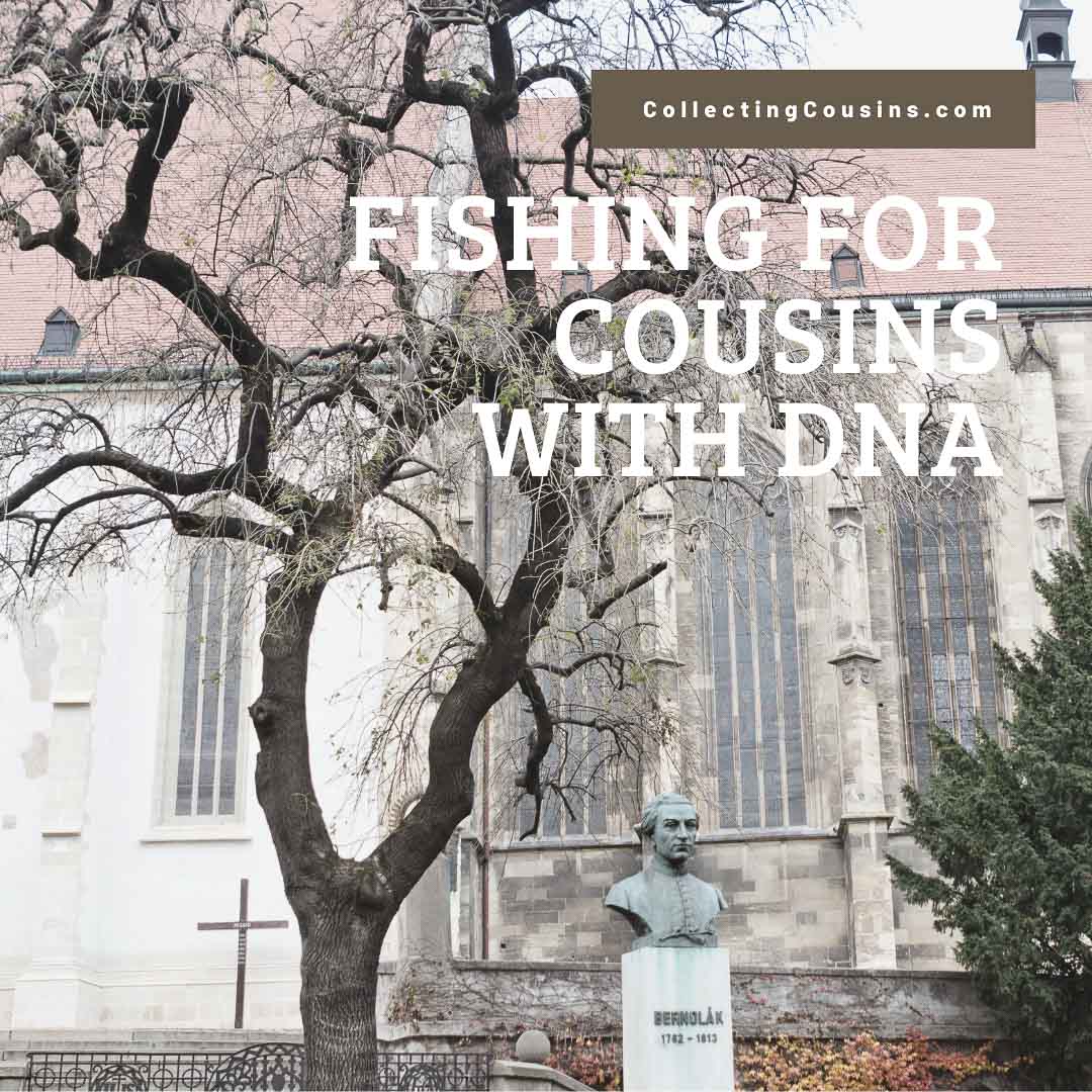 Image of church in Bratislava in background with tree in foreground and text Fishing for Cousins with DNA CollectingCousins.com
