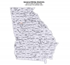 Interactive map of Georgia militia districts